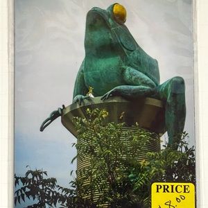 Frog Magnet 5 1/2 X 4 1/4